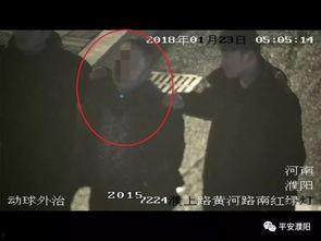 濮视频,揭秘幕后制作，探寻短视频的魅力与影响力