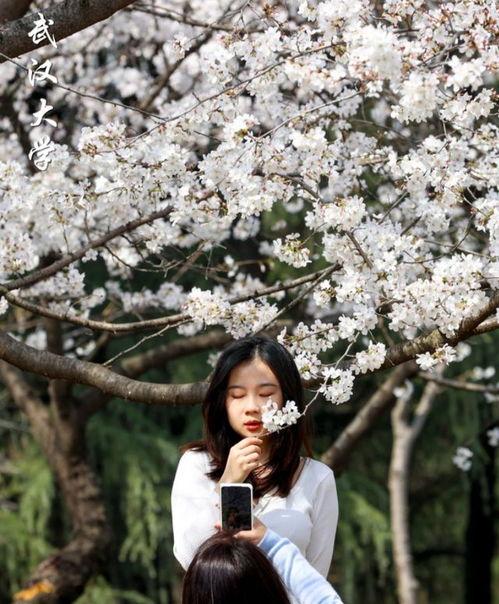 校园春色在线视频,在线视频捕捉青春活力瞬间