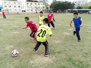 小学足球训练视频,训练场上的激情与汗水