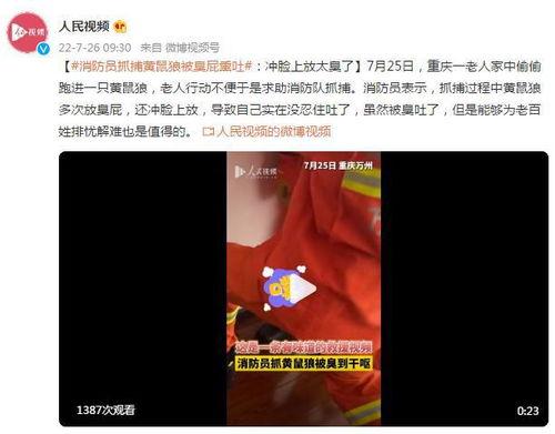 臭屁视频,揭秘网络搞笑文化的魅力与影响