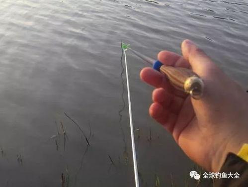 压水线视频,探索水下世界的奥秘