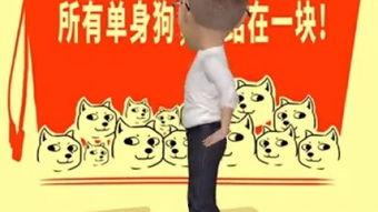 福彩3d开奖视频直播,精彩瞬间回顾