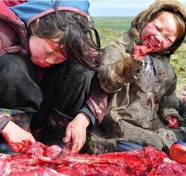吃生肉的民族视频